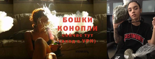 ПСИЛОЦИБИНОВЫЕ ГРИБЫ Заволжск