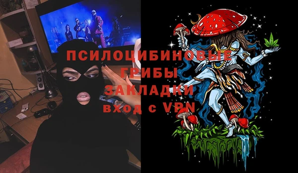 ПСИЛОЦИБИНОВЫЕ ГРИБЫ Заволжск