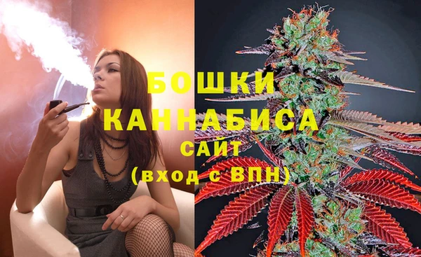 ПСИЛОЦИБИНОВЫЕ ГРИБЫ Заволжск